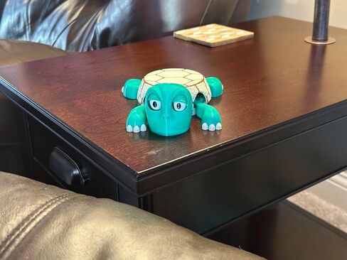 Turtle Coaster with Funny Expression when you put a Glass on His Back - Fully Colored - Gag Gift for a Turtle or Tortoise Lover (Green with Brown Shell) in Kuwait