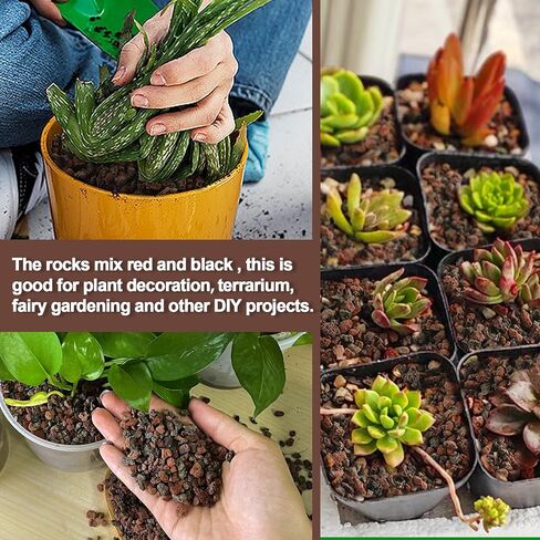 3lb Mix Lava Rocks for Plants-Horticultural Volcanic Rock Gravel for Landscaping Plants Drainage, Succulents, Bonsai, Vase Fillers, Terrarium Plants, Top Dressing in Saudi Arabia