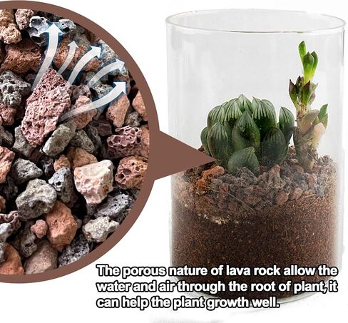 3lb Mix Lava Rocks for Plants-Horticultural Volcanic Rock Gravel for Landscaping Plants Drainage, Succulents, Bonsai, Vase Fillers, Terrarium Plants, Top Dressing in Saudi Arabia
