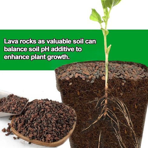 3lb Mix Lava Rocks for Plants-Horticultural Volcanic Rock Gravel for Landscaping Plants Drainage, Succulents, Bonsai, Vase Fillers, Terrarium Plants, Top Dressing in Saudi Arabia