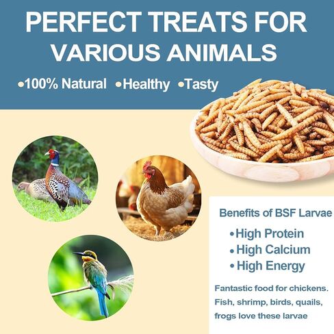 5lbs Dried Black Soldier Fly Larvae for Chickens - 100% Natural BSF Larvae More Calcium Than Dried Mealworms - High Protein BSFL Chicken Treats for Laying Hens Ducks Birds in Saudi Arabia