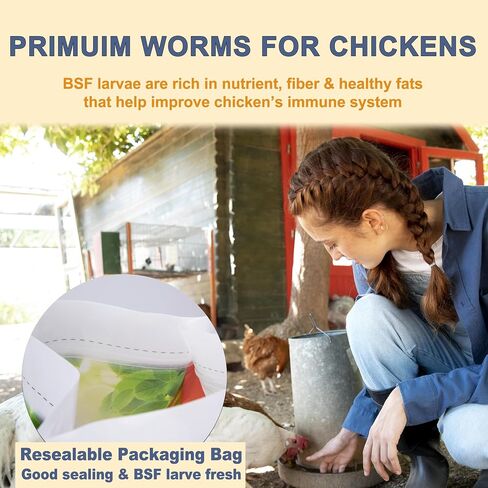 5lbs Dried Black Soldier Fly Larvae for Chickens - 100% Natural BSF Larvae More Calcium Than Dried Mealworms - High Protein BSFL Chicken Treats for Laying Hens Ducks Birds in Saudi Arabia