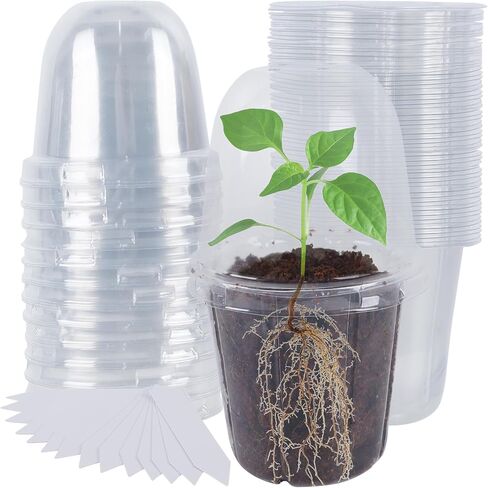 winemana 36 Set Plant Nursery Pots with Humidity Dome, Seed Starter Biodegradable Peat Pots, Seedlings Planting Pots with Labels for Indoor Outdoor Garden in Kuwait