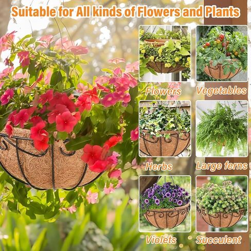 LEGIGO 3 Pack 10 بوصة سلال معلقة معدنية للنباتات في الهواء الطلق- سلك المزارعون معلقة سلة مع بطانة جوز الهند ، وعاء زهرة معلق للنباتات في الهواء الطلق زهور حديقة الزخارف in Kuwait