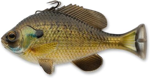 3D Pulse Tail Bluegill Line Thru 5 1/2" Crappie (Slow Sink) in Saudi Arabia