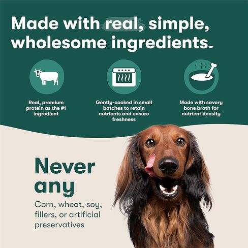 Jinx Beef Wet Dog Food Topper, Mix with Dry Dog Food, Made with Real Beef & Chicken, Bone Broth & Brown Rice, No Fillers, Puppy, Adult, Senior, 9oz, 6 Pack in Kuwait