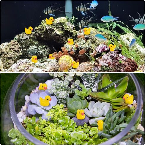 240 Pcs Mini Resin Ducks, 12 Colors Tiny Duck Figurines Bulk, Mini Ducks for Miniature Characters Fairy Micro Landscape Aquarium Dollhouse and DIY Decorative Accessories in Saudi Arabia