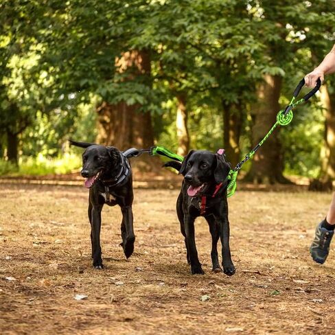 Dog Leash, Double Dog Leash for Two Dogs, Heavy Duty Adjustable Dual Dog Leash No Tangle, Bungee Retractable Split Multiple Leash for Walking 2 Dogs, Dog Poop Bags Trip Essentials (5.5FT-1/2", Black) in Saudi Arabia