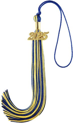 2025 Tassel Graduation, Graduation Tassel 2025 with 2025 Year Charm, 9" Size, Premium Silk Thread & Metal Charm, Commemorative Keepsake for Class of 2025 (Gold) in Saudi Arabia