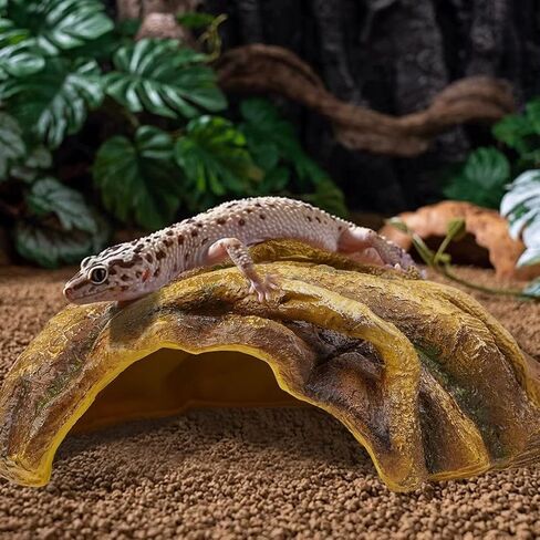 Reptile Hide Large Caves Simulation Tree Hideout Snake Hide Leopard Gecko Terrarium Plastic Plant Leaves Ornament Habitat Shelter Decor for Lizard Hermit Crab Spider Frog Amphibians in Saudi Arabia