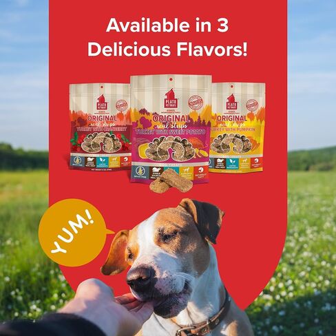 PLATO Original Real Strips Natural Dog Treats - Real Meat - Air Dried - Made in The USA - Lamb Flavor, 18 Ounces in Saudi Arabia