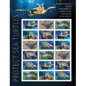 Protect Sea Turtles 2024 (Sheet of 18) First-Class Mail Forever Postage Stamps