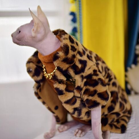 Sphynx Cat Clother Winter Velvet Warm Soft 2- طبقات شتوية معطف قطة شتوية بدون شعر لـ Sphynx ، Cornish Rex ، Devon Rex ، Peterbald Cat Cloths (Medium) in Kuwait