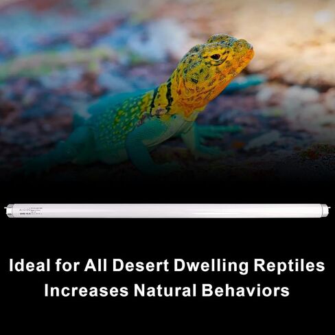 Aiicioo 2 Pack T5 HO 10.0 Reptile UVB Light 24W - Desert 22" UVA UVB Fluorescent Lamp Tube UVB Lighting Bulb for Tortoises Lizard Bearded Dragon Chameleon Turtles in Saudi Arabia
