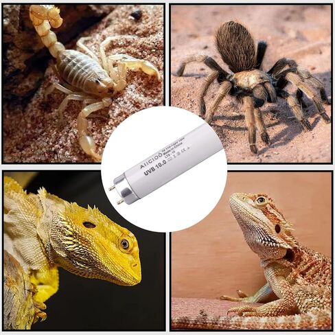 Aiicioo 2 Pack T5 HO 10.0 Reptile UVB Light 24W - Desert 22" UVA UVB Fluorescent Lamp Tube UVB Lighting Bulb for Tortoises Lizard Bearded Dragon Chameleon Turtles in Saudi Arabia