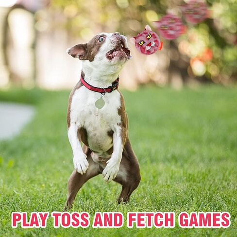 DKING 3PACK COMPACKY DOCK CALLS ، 2 In1 Funny Puppy Ball Toys ، Diardnist Dog Toy للكلاب الصغيرة المتوسطة (كرة المحيط) in Kuwait