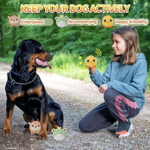 DKING 3Pack Squeaky Dog Balls,2 in1 Funny Puppy Ball Toys,Birthday Dog Toy for Small Medium Dogs (Farm Ball) in Kuwait