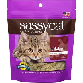 Treats Herbsmith Sassy Cat-تجميد Gruyere المجفف-جبنة ويسكونسن من الدرجة البشرية-وجبة خفيفة طبيعية لأكل من الصعب إرضاءها-مكون واحد-الولايات المتحدة الأمريكية-مصنوعة-4.7 أوقية
