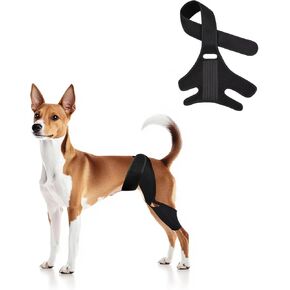 Dog Knee Brace for Torn Acl Hind Leg for Support with Cruciate Ligament Injury, Better Recovery with Dog Leg Braces for Back Leg (L)