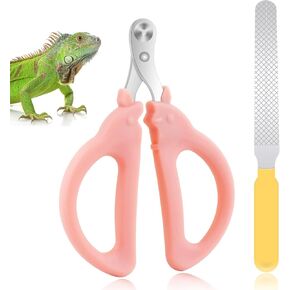 KALAMANDA Bearded Dragon Nail Clippers, Stainless Steel Cat Claw Clippers with Nail File, Pet Paw Trimmer Tool for Cats, Kittens, Guinea Pig, Rabbits, Birds, Ferret Small Breed Animals(Green)