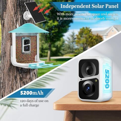 Careboda Bird Feeder with Camera, Motion Detection Auto Capture Videos, Smart AI Recognition Wild Bird Watching Camera Solar Powered Wirelss Outdoor with 64G SD Card, Ideal Gifts (Blue) in Saudi Arabia