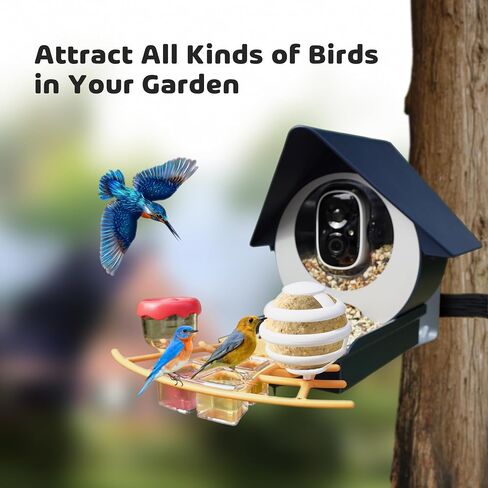 Smart Bird Feeder with Camera, 1080P HD Bird House Camera with Solar Panel, Auto Capture Bird Videos & AI Identify 10,000 Bird Species, App Notification, Free 32G SD Card, Ideal for Gift in Kuwait