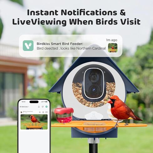 Smart Bird Feeder with Camera, 1080P HD Bird House Camera with Solar Panel, Auto Capture Bird Videos & AI Identify 10,000 Bird Species, App Notification, Free 32G SD Card, Ideal for Gift in Kuwait