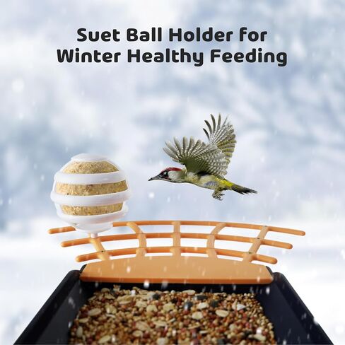 Smart Bird Feeder with Camera, 1080P HD Bird House Camera with Solar Panel, Auto Capture Bird Videos & AI Identify 10,000 Bird Species, App Notification, Free 32G SD Card, Ideal for Gift in Kuwait