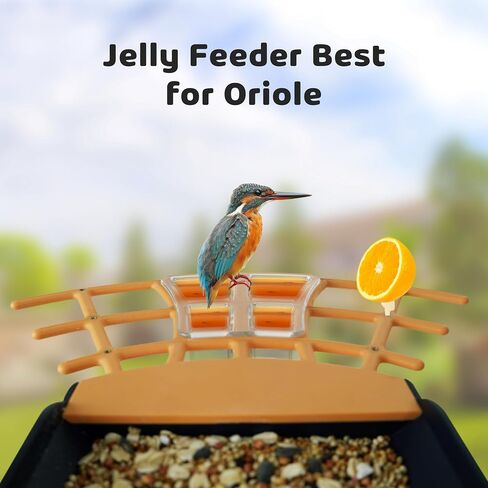 Smart Bird Feeder with Camera, 1080P HD Bird House Camera with Solar Panel, Auto Capture Bird Videos & AI Identify 10,000 Bird Species, App Notification, Free 32G SD Card, Ideal for Gift in Kuwait