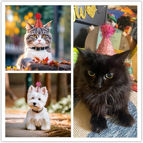 PET SHOW 12 Pack Mini Small Dog Hats Cat Birthday Party Hat Rabbit Hats for Stuffed Animals Holiday Wedding Puppies Kittens Costume Accessories in Kuwait