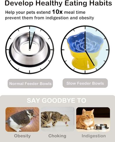 Raised Cat Slow Feeder Bowl, Ceramic Raised Pet Dishes, No Black Chin, Flower Shaped, for Dry and Wet Food, Non-Slip, Dishwasher Microwave Safe (Pink) in Kuwait