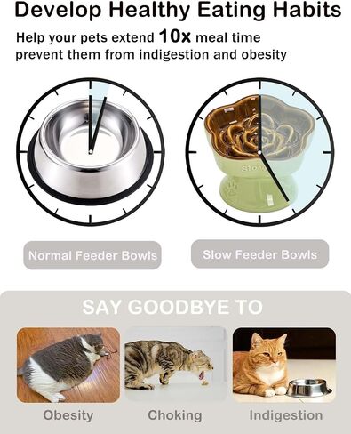 Raised Cat Slow Feeder Bowl, Ceramic Raised Pet Dishes, No Black Chin, Flower Shaped, for Dry and Wet Food, Non-Slip, Dishwasher Microwave Safe (Pink) in Saudi Arabia