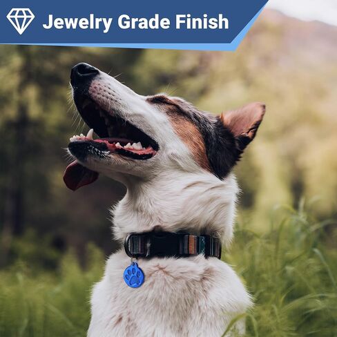 Gotags Paw Paw Print Pet Tag Stailless Steel for Dogs and Cats ، 4 خطوط من اسم المعرف المحفور المخصص والرقم ، في الفولاذ المقاوم للصدأ و 15 لونًا بريقًا (حزمة صغيرة من 1) in Kuwait