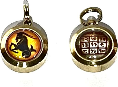 Zodiac Constellation Pendant Necklace - Sun Sign Amulet - Rashi Yantra Pendant - 3/4 Inch Brass Pendant with Zodiac Yantra (Capricorn Sun Sign or Makar Rashi) in Saudi Arabia