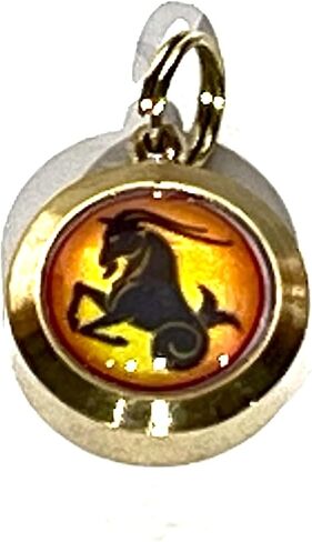 Zodiac Constellation Pendant Necklace - Sun Sign Amulet - Rashi Yantra Pendant - 3/4 Inch Brass Pendant with Zodiac Yantra (Capricorn Sun Sign or Makar Rashi) in Saudi Arabia