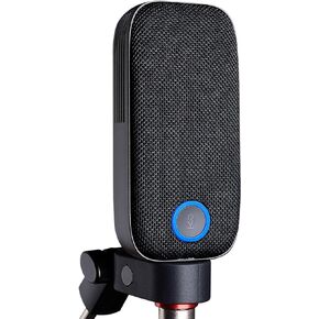 TAKSTAR XLR Studio Cardioid Condenser Microphone with 34mm Gold-Plated Large Diaphragm, Reproduce Crystal Clear and Warm Magnetic Sound for Recording, Podcasting, Streaming, Chorus, Studio, Dubbing