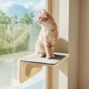 Pecute 2-in-1 Cat Window Perch & Wall Shelves - Sturdy Solid Wood Frame, 4 Large Rotating Suction Cups, Washable Carpet Cloth Cover, Space-Saving Indoor Cat Hammock Bed for Large Cats & Kittens
