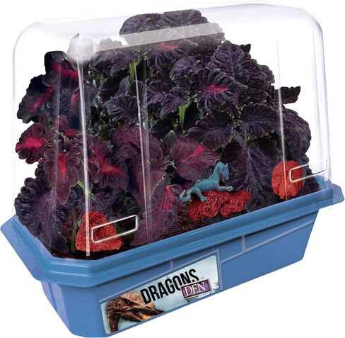 Toys By Nature Miniature Worlds Terrifying Venus Flytrap Terrarium Kit - Watch Carnivorous Monsters Grow! Just Add Water! (Frightening Flytraps) in Saudi Arabia