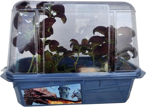 Toys By Nature Miniature Worlds Terrifying Venus Flytrap Terrarium Kit - Watch Carnivorous Monsters Grow! Just Add Water! (Frightening Flytraps) in Saudi Arabia