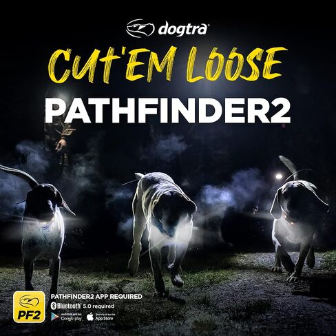 Dogtra Pathfinder 2 GPS Dog Tracker e Collar 9 Mile Long Range LED Light No Monthly fees Free App Waterproof Smartwatch Control Satellite Real Time Tracking Multiple Dogs Smartphone Required in Saudi Arabia