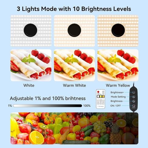Takerers Photo Studio Light Box,39x39 Inch/100x100cm 210 LED Professional Photo Background Shooting Tent with 3 Stepless Dimming Light Panel, Lightbox with 5 Color Backdrops for Product Photography in Saudi Arabia