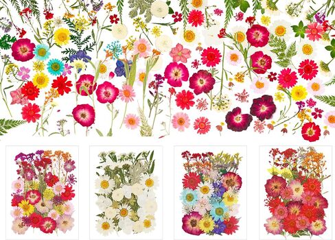 Natural Dried Pressed Flowers 100 Pcs for Crafts and Epoxy Resin Molds, Unique Color Dried Pressed Leaves for DIY Scrapbooking, Candles, Soap Making in Saudi Arabia