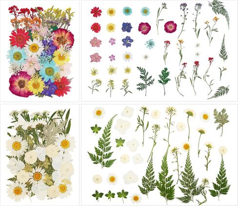 Natural Dried Pressed Flowers 100 Pcs for Crafts and Epoxy Resin Molds, Unique Color Dried Pressed Leaves for DIY Scrapbooking, Candles, Soap Making in Saudi Arabia