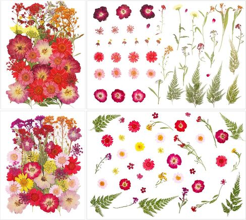 Natural Dried Pressed Flowers 100 Pcs for Crafts and Epoxy Resin Molds, Unique Color Dried Pressed Leaves for DIY Scrapbooking, Candles, Soap Making in Saudi Arabia