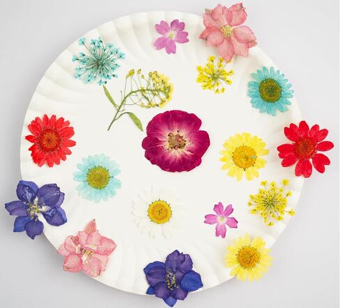 Natural Dried Pressed Flowers 100 Pcs for Crafts and Epoxy Resin Molds, Unique Color Dried Pressed Leaves for DIY Scrapbooking, Candles, Soap Making in Saudi Arabia