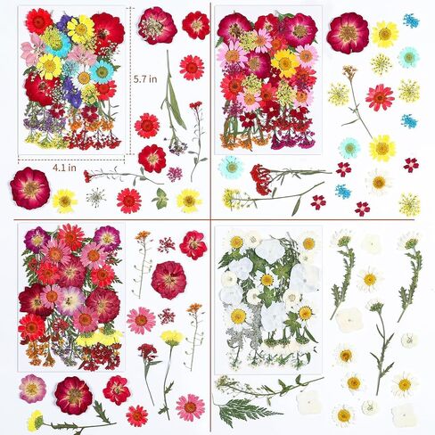 Natural Dried Pressed Flowers 100 Pcs for Crafts and Epoxy Resin Molds, Unique Color Dried Pressed Leaves for DIY Scrapbooking, Candles, Soap Making in Saudi Arabia