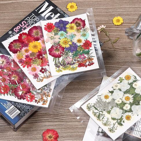 Natural Dried Pressed Flowers 100 Pcs for Crafts and Epoxy Resin Molds, Unique Color Dried Pressed Leaves for DIY Scrapbooking, Candles, Soap Making in Saudi Arabia