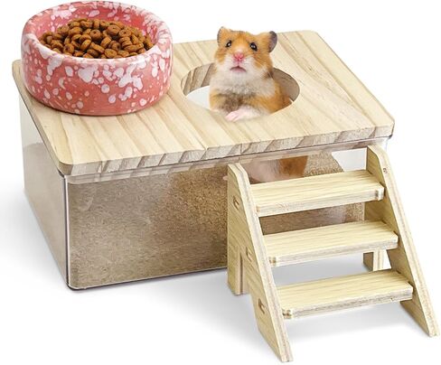 كاثسون الهامستر رمل صندوق حمام مربع شفاف أكريليك صغير سوري هامستر دش حوض استحمام صغير الحاوية الرمل الحفر مع سلم التسلق وملحقات القفص السيراميك للفئران القضيب in Kuwait