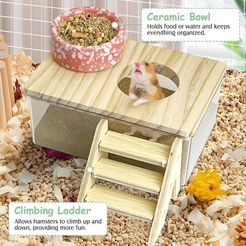 كاثسون الهامستر رمل صندوق حمام مربع شفاف أكريليك صغير سوري هامستر دش حوض استحمام صغير الحاوية الرمل الحفر مع سلم التسلق وملحقات القفص السيراميك للفئران القضيب in Kuwait