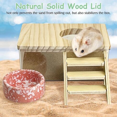 كاثسون الهامستر رمل صندوق حمام مربع شفاف أكريليك صغير سوري هامستر دش حوض استحمام صغير الحاوية الرمل الحفر مع سلم التسلق وملحقات القفص السيراميك للفئران القضيب in Kuwait
